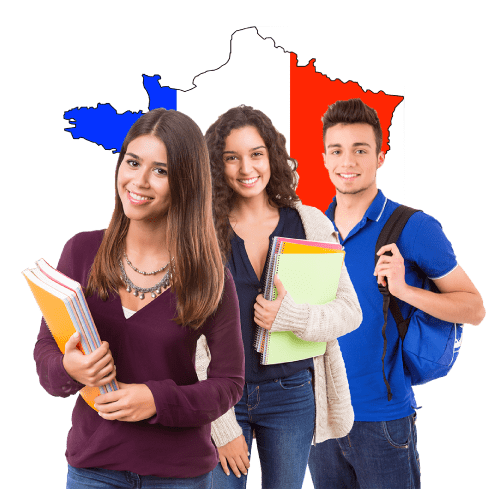 French higher education structure